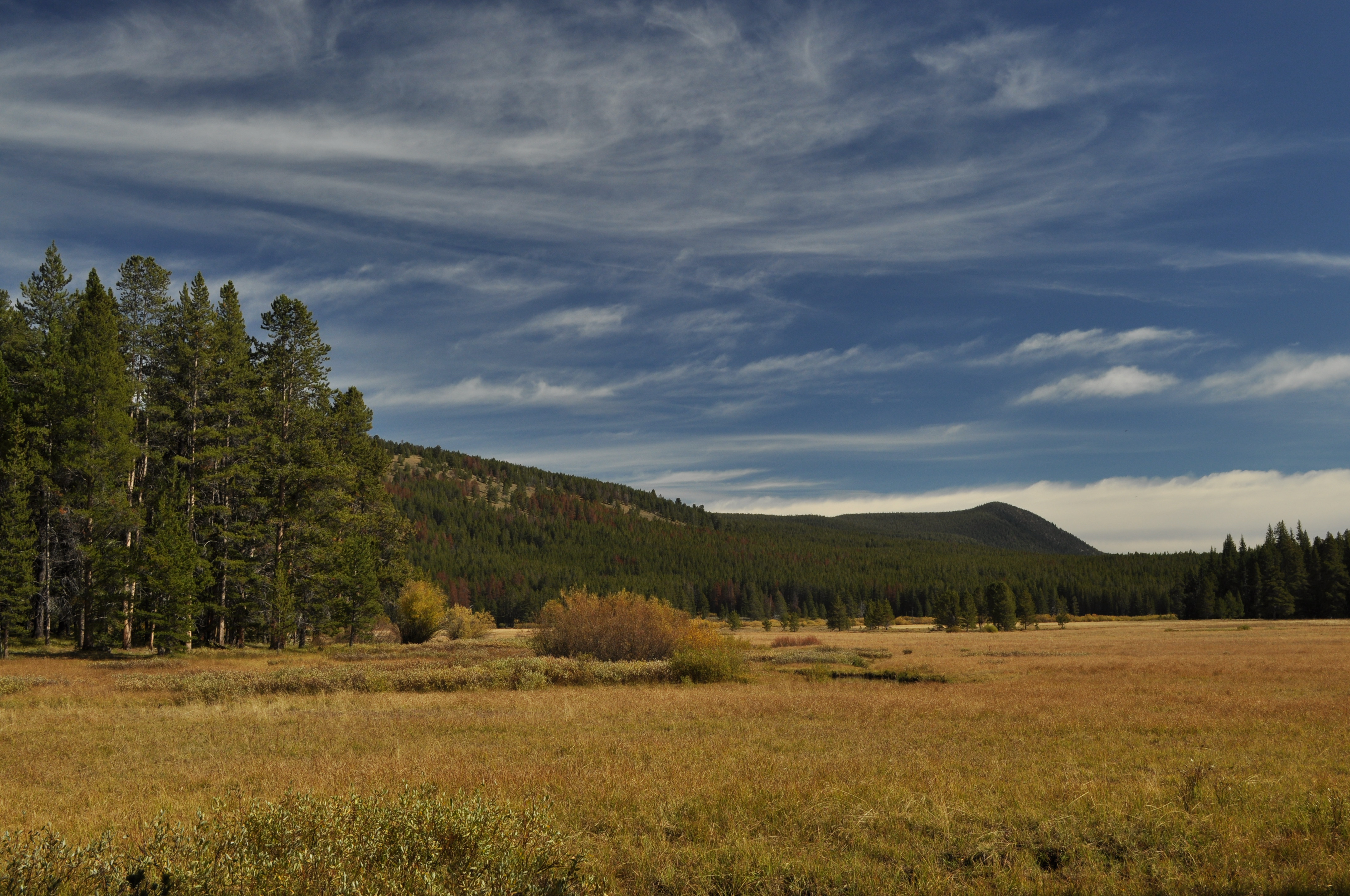 Gallatin Canyon & Hyalite fall color