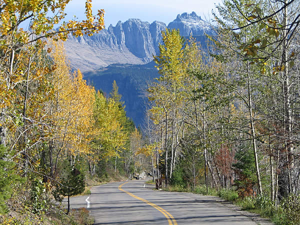 Going-to-the-Sun Road Fall Larch fall color
