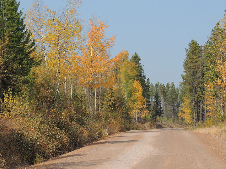 North Fork Flathead River Corridor fall color