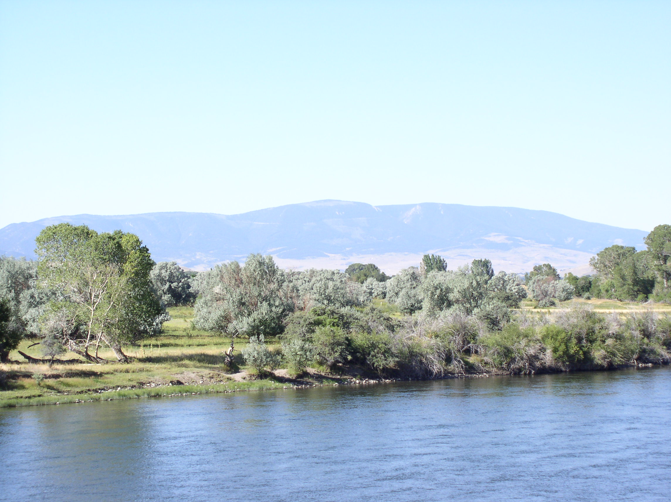 Paradise Valley Yellowstone River Cottonwoods fall color