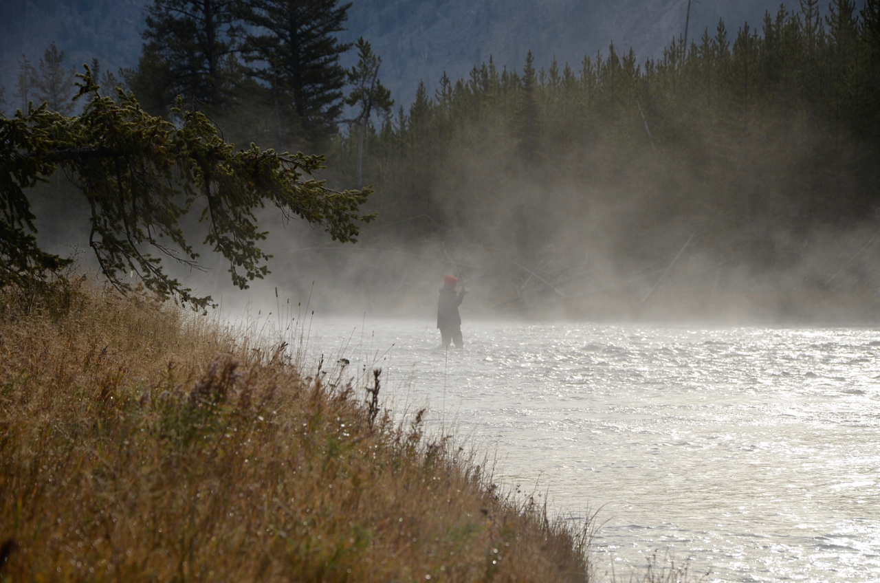 The Madison River — Montana fly fishing