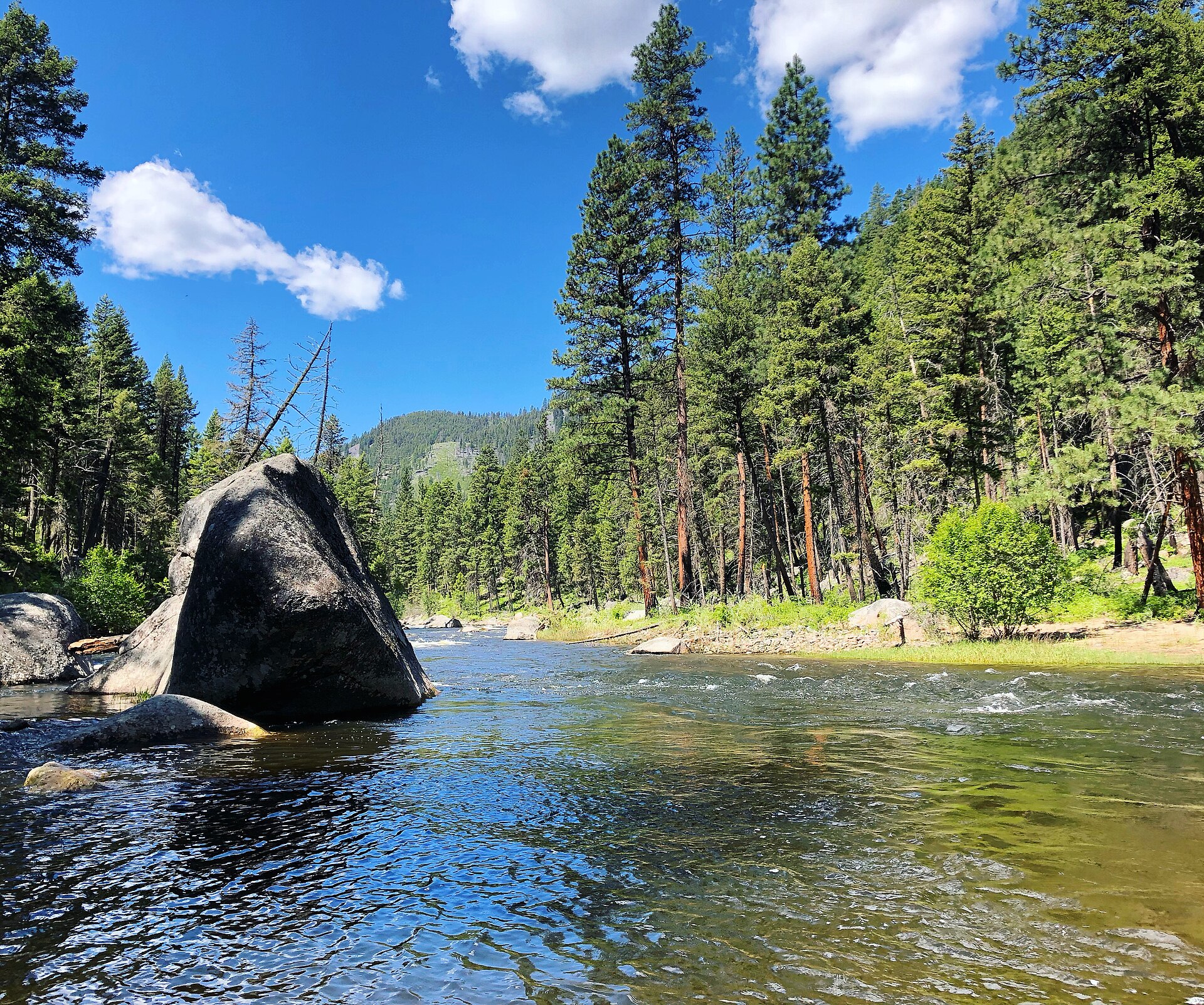 Rock Creek — Montana fly fishing