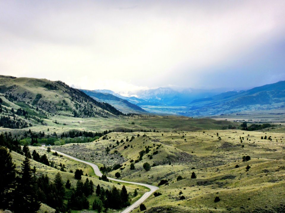 Armstrong Spring Creek — Montana fly fishing