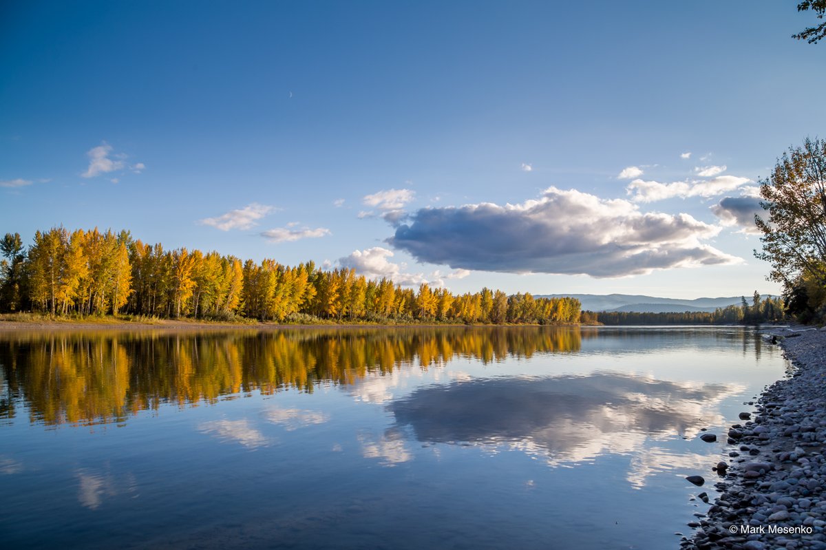 Flathead River near Kalispell
